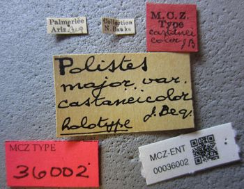 Media type: image;   Entomology 36002 Aspect: labels